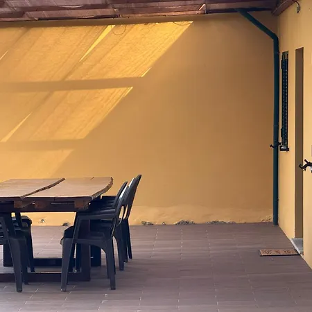 Wildvalley Брага