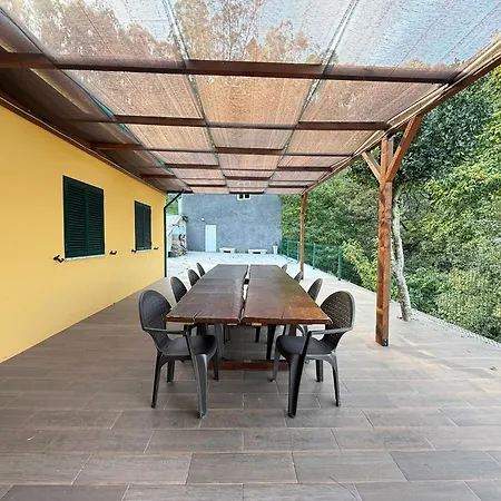 Wildvalley Брага