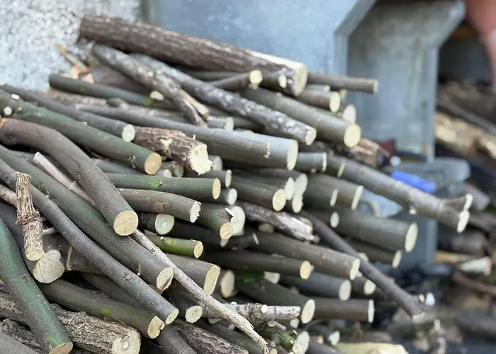 Wildvalley Casa vacanze *